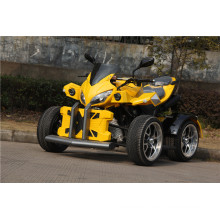 250cc Road Legal ATV con Big X Cubierta (jy-250-1A)